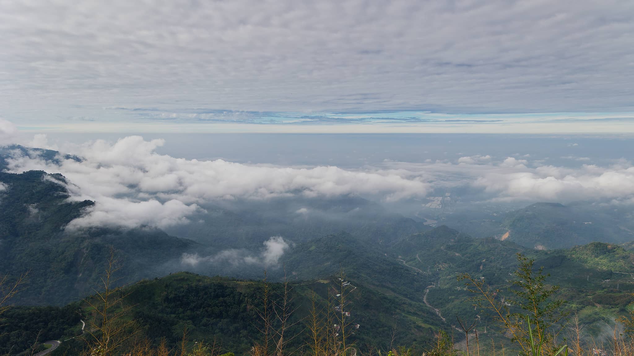 05 - Alishan (0).jpg